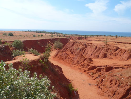 Red Canyon
