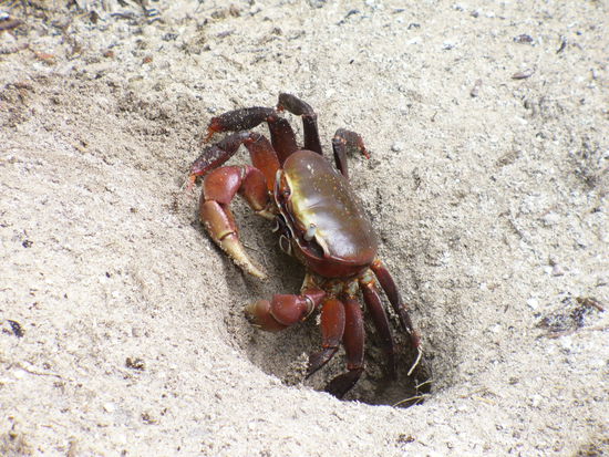 ...und die freundlichen Bewohner.