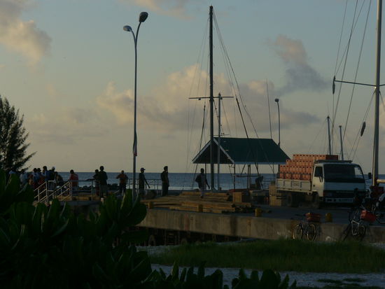 Da kommt die neue Ladung Seybrew für uns!