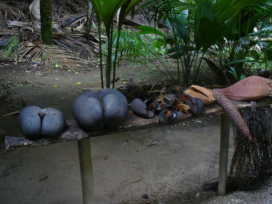 Die berühmten Nüsse.