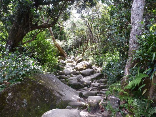 Der steinige Weg auf den Gunung Kinabalu...