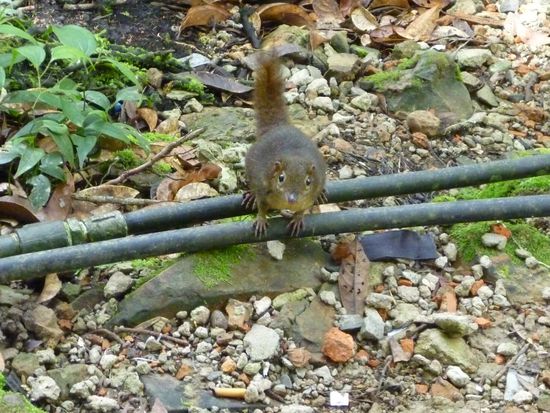 Tierisch nette Wegbegleiter.