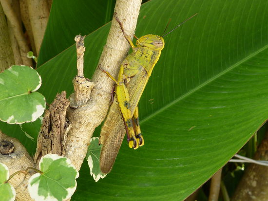 Ein bisschen was hab ich aber doch entdeckt.