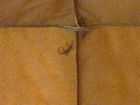 Wer sitzt denn da auf dem Zelt?