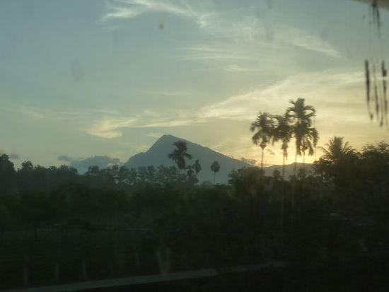 Blick morgens aus dem Nachtzug.