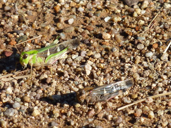 Unsere Reisegruppe...