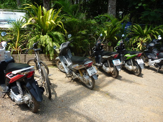 Viele Roller und ein Mountainbike...