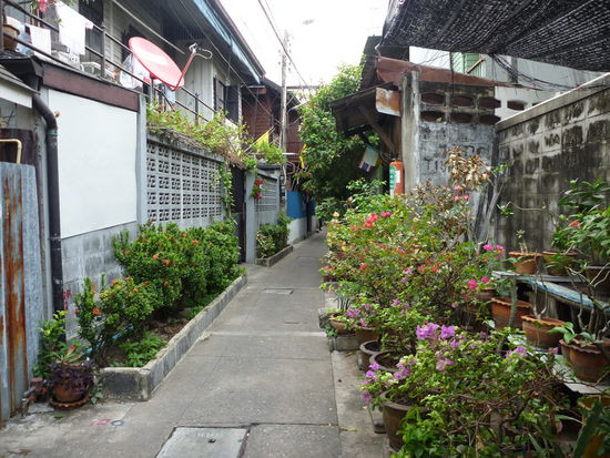 ...mitten in Bangkok...