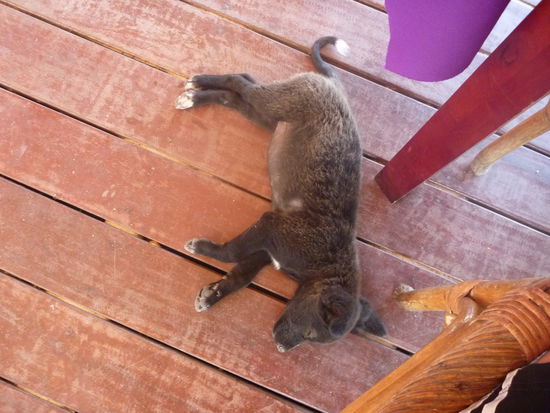 Von meinem Stuhl droht keine Gefahr.