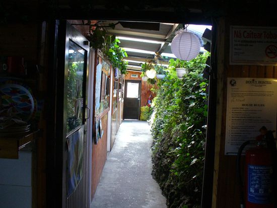 begrünte Wand im Hostelflur
