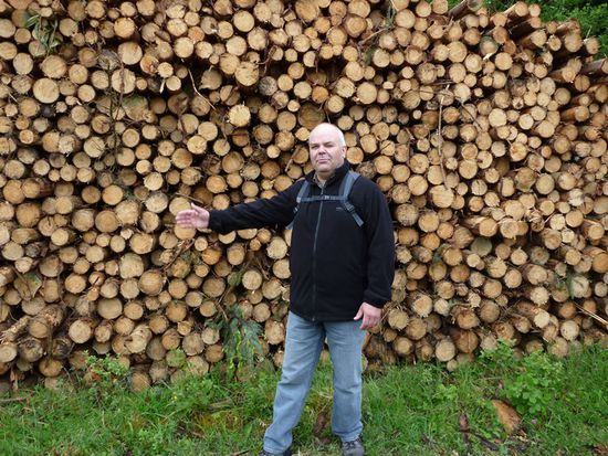 Da isser...der schöne Wald...