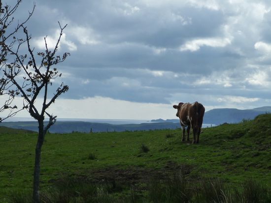 Eins meiner Lieblingsfotos!