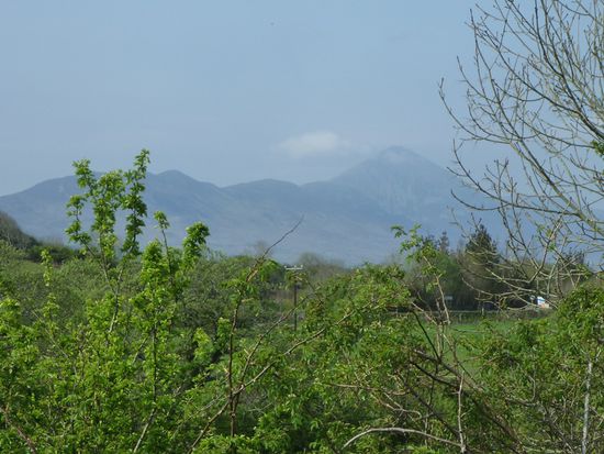 Da isser wieder, der Croagh Patrick! Vom Greenway aus gesehen.
