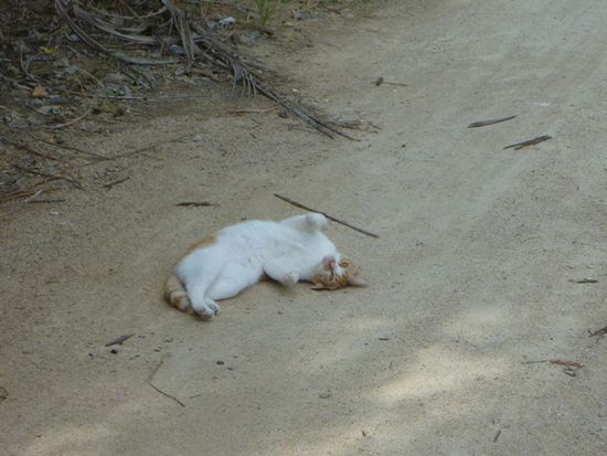 So ein Sandbad ist auch was Herrliches.