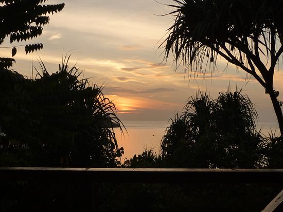Blick von der Terrasse meines Traumhauses. Schön war's.