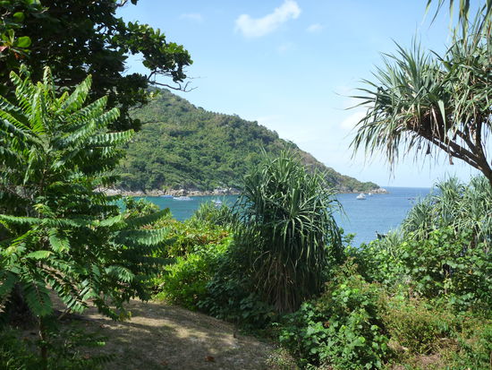 Blick vom Balkon