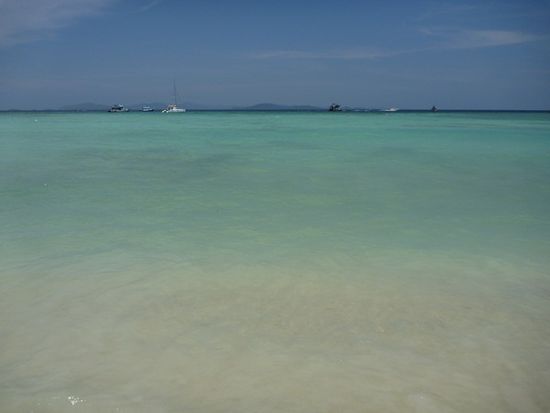 Ist dieses Wasser mit Fäkalbakterien verseucht?