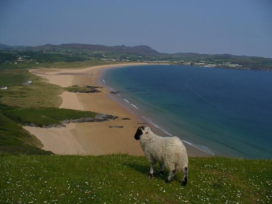 Bekanntschaften irland