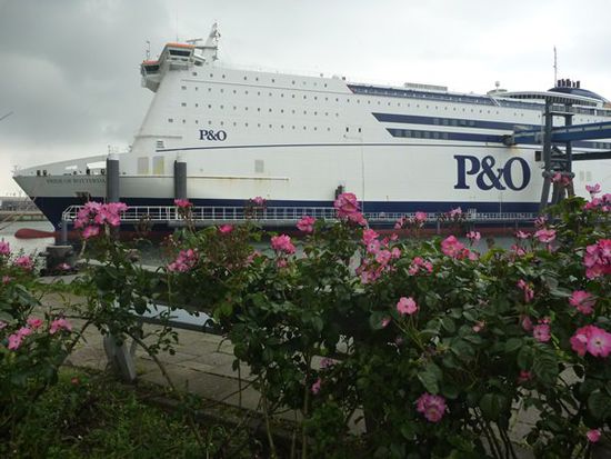 Die erste Fähre: Pride of Rotterdam.