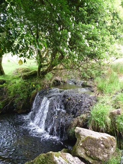 Ein kleiner Wasserfall war da auch. Irgendwie ist dieses Jahr das Jahr der Wasserfälle.