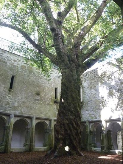 Am besten gefällt mir immer der Baum mittendrin.