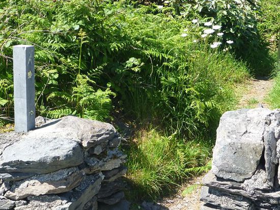Hier beginnt der Wanderweg "Mass Path", wieder im Dumont Wanderführer gut beschrieben, aber auch sehr gut ausgeschildert.