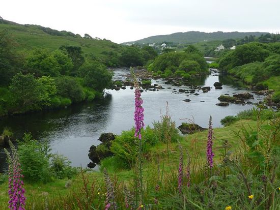 Idylle auf dem Weg zu den Slieve Leagues.