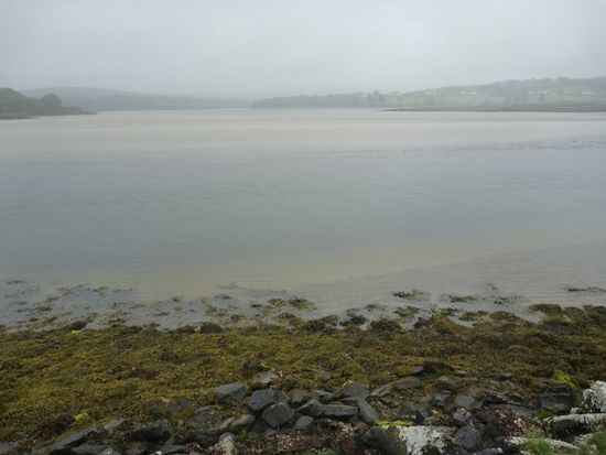 A soft day.