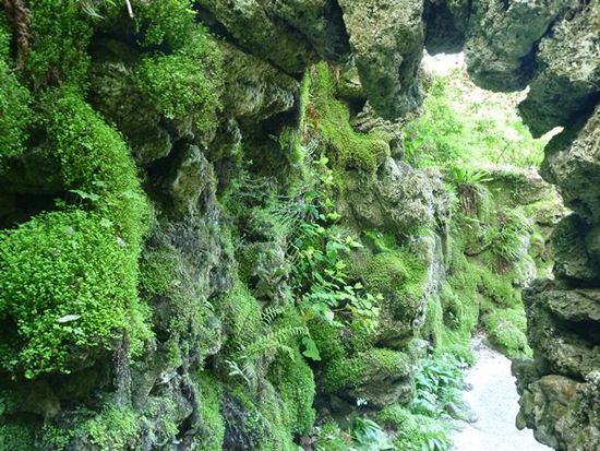 Die moosbewachsene Grotte war ganz interessant.