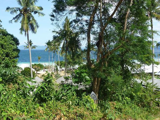 Blick von oben aufs Tanya.