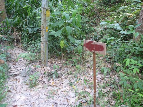 Links abbiegen. Rote Pfeile weisen den Weg.