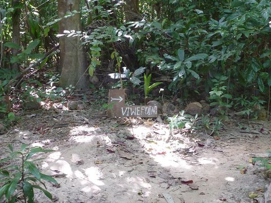 An diesem Schild geht es links zur Mango Bucht. Auch schön! Rechts geht es zum Paradise Beach.
