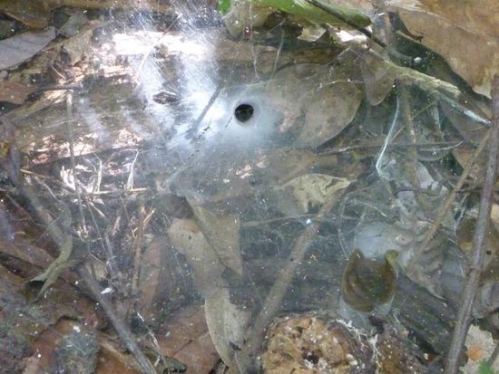 Uahhh! In diese Falle bin ich zum Glück nicht getappt.