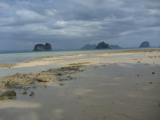 Den Strand bei Ebbe erforschen.