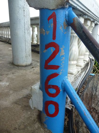 Geschafft! Aus den 1237 Stufen sind auf wundersame Weise 1260 geworden.