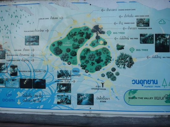 Wieder unten machte ich noch eine Runde durch den Forestpark.