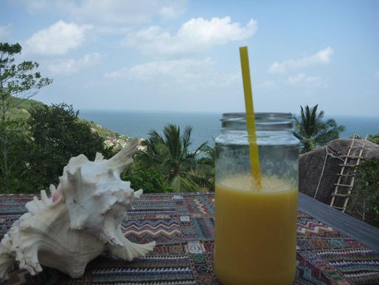 ... für einen Mangocheck.