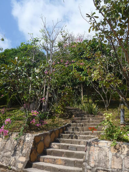 Wie schön dagegen die Treppe zu meinem Häuschen, am Frangipanibaum rechts.