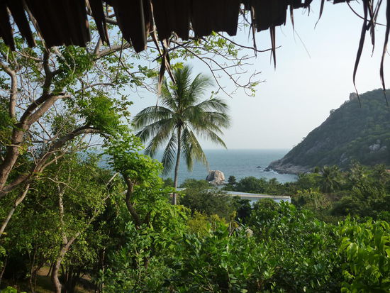 In die Aussicht habe ich mich verliebt!