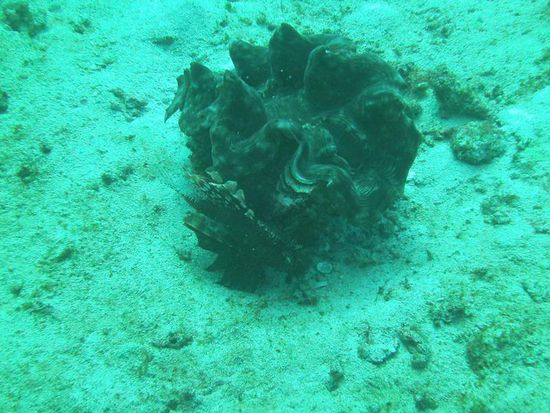 Dieses Foto habe ich exra für Schürmy gemacht 