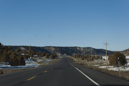 Es wird bergiger und die Vegetation verändert sich