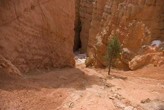 Da unten wollen wir hin 