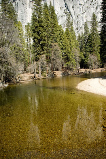 Der Merced River (unser "Goldfluss")