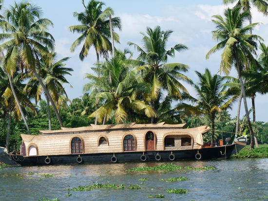 Backwaters in Kerala