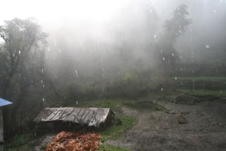 Hard Rain!