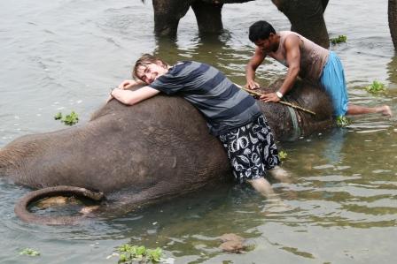 N dolles Dierschen, so n Elephant, ne...