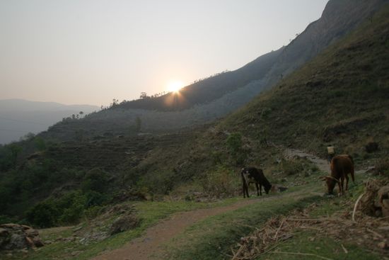Diese Leute leben in so einem schoenen Land