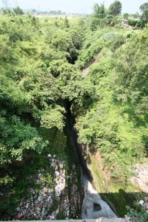 Denkt euch einfach mal den Muell und die Seifenblasen im Waschwasser weg... Wunderschoen oder?