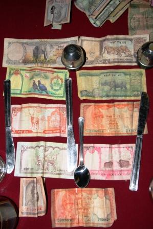 Das Nepali Geld wird auf vorderseite von einem Koenig und einem schoenen Gebaeude gepraegt. Und die Rueckseite ziert, je nach Wert des Scheins, immer eines der landestypischen Tiere.
