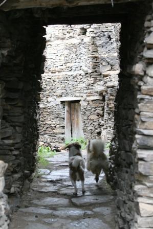 meine Dorf-Guides